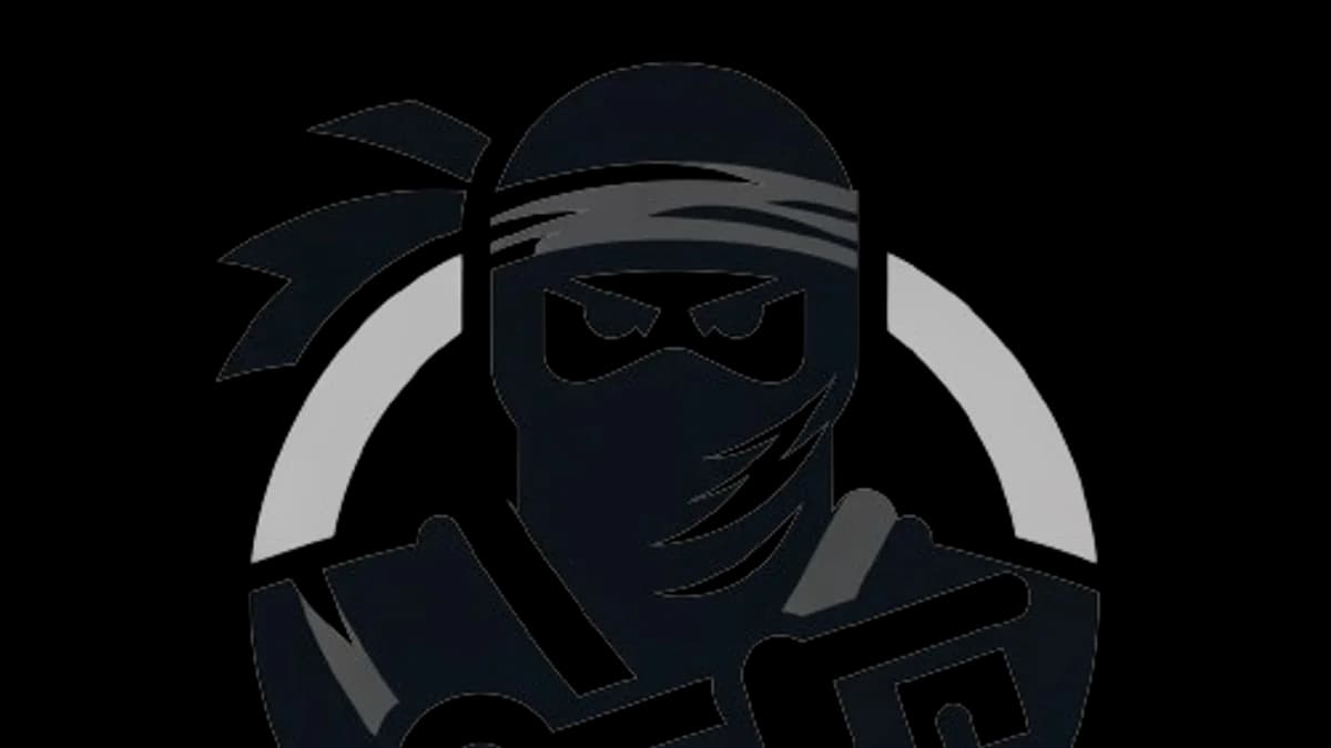 Secrets Ninja: the GUI that turns a leaked API key into a bug bounty in seconds